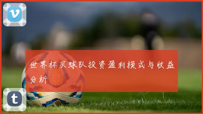 世界杯买球队投资盈利模式与收益分析