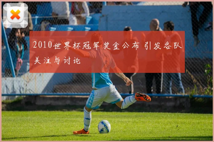 2010世界杯冠军奖金公布 引发各队关注与讨论