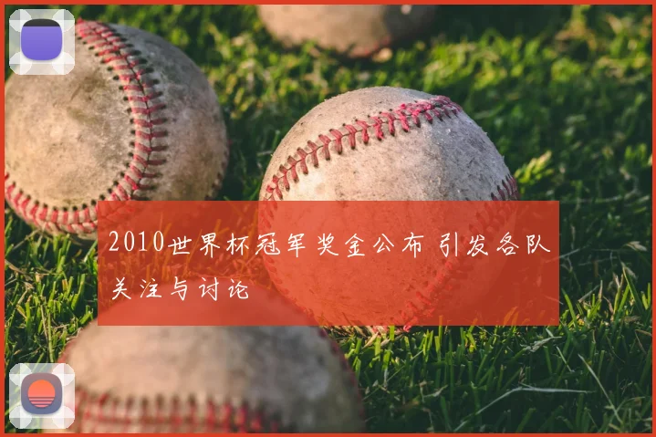 2010世界杯冠军奖金公布 引发各队关注与讨论